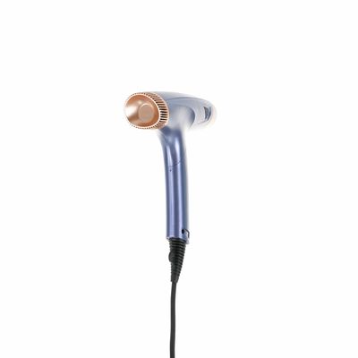 Foldable DC Motor Hair Dryer Professional Lightweight Customized